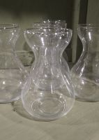 Forcing Vase (1 Glass Vase)